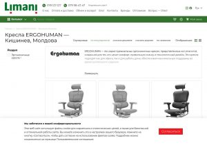 Scaun Ergohuman ergonomic într-un birou luminos și modern